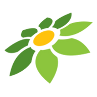 DOODSTREAM DOWNLOADER